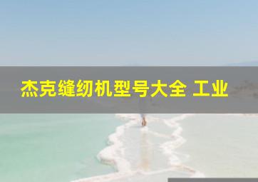 杰克缝纫机型号大全 工业